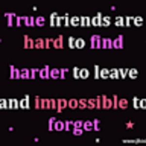 Meet your Posher, Riley